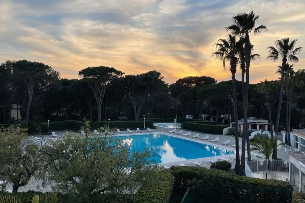 Bel Appartement Vue Sur Piscine 1 Chambre Fermee Et 1 Espace Cabine Saint-Raphaël 外观 照片