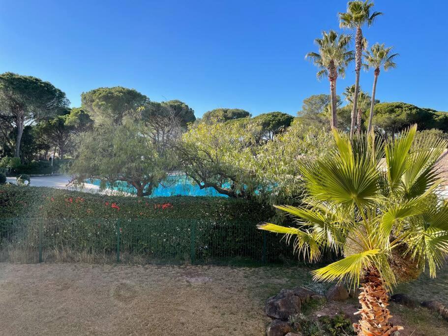 Bel Appartement Vue Sur Piscine 1 Chambre Fermee Et 1 Espace Cabine Saint-Raphaël 外观 照片